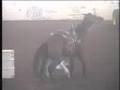 Barrel Racing 101- What not to do!