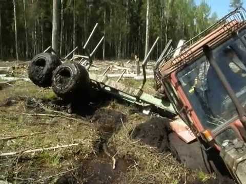 Mtz82 -