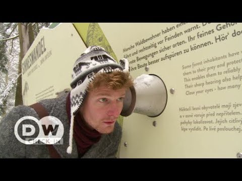 Unterwegs in Passau und im Bayerischen Wald | DW De ...