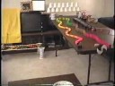Improvisational Kinetic Art Gadget with Bluebird #2 Improvisational Kinetic Art Gadget with Bluebird #2