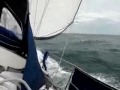 Video processing YouTube Thumbnail