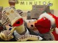 perritos-vagos.html