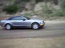 Vores mustang in action