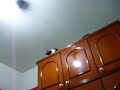 O Pulo da Gata!