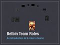 Belbin Team Roles Training Bite