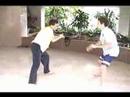 ruben y eitan capoeira