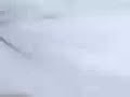 flatuu flatuu