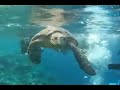 Red Sea Liveaboard