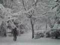 Neve a Campobasso 15 dic. 2007 parte 1/2