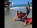 hot ride        by the prodigy