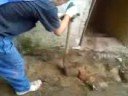 Polen am bau