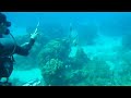 scubafishing Santiago de Cuba all fishes attack scubafishing Santiago de Cuba all fishes attack