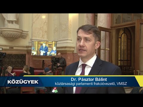 Közügyek (Pannon RTV) - Interjú dr. Pásztor Bálinttal, a VMSZ elnökével-cover