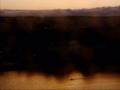 dtv thumbnail