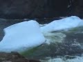 Iceberg blocking Quidi Vidi Iceberg blocking Quidi Vidi