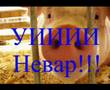 Суп Хирос