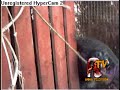 MI10 RCPSA-Animal Rescue Eric trapped