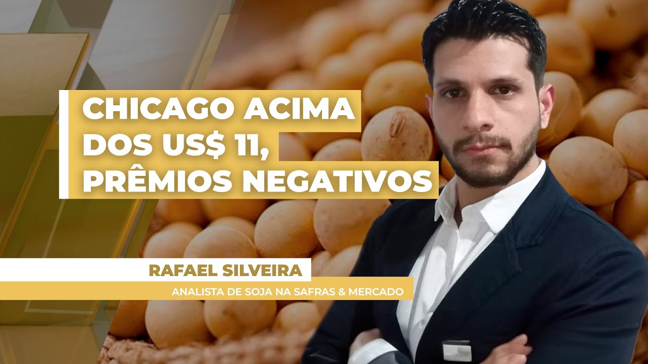 FECHAMENTO DE MERCADO DA SOJA - EDIÇÃO 04-11-2025