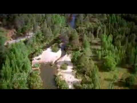Ver video