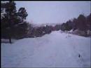 Bored in snow.