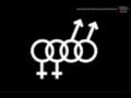 DRAG MUSIC BATE CABELO 2