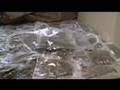 Large-drug-bust-by-O