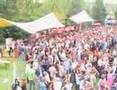 3e Klaphek Woodstock Festival Sfeerbeelden Volendam