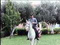 الرئيس اليمني
