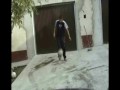 Psona vs 2zani