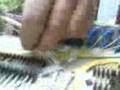 videos de Fibra Optica Parte II