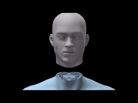 Who's Ready for a Full Head Transplant?