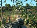videos de Warsensor WS66 
