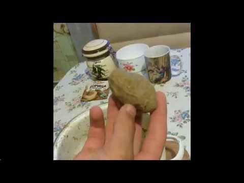ловим на мастырку гороховую ловим на мастырку гороховую