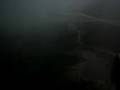videos de Arrival