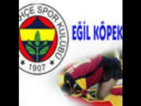 EGIL KÖPEK
