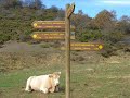 Euskal paisaiak