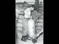 Che Guevara 1928-1967