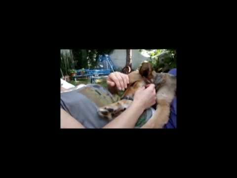 See video