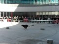 Ver Video
