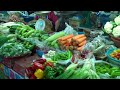 Ruam Choke Market PART 2 - next to 2nd hand car market Chiang mai, Thailand