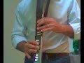 EWI pat metheny style