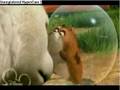 play video - Bolt - Bolt