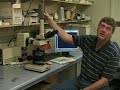 Parasitology Explained by Dr. Ian Crandall Parasitology Explained by Dr. Ian Crandall