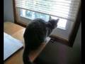Floyd sits and watches