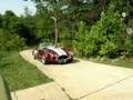 My Cobra