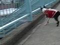 電車が好き