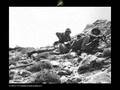 K�br�s Bar�� Harekat�    Cyprus peace  operation