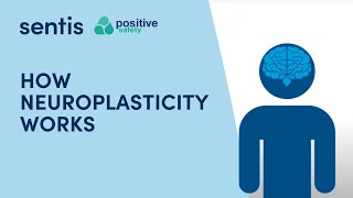 Learn to tame a noisy brain: Neuroplasticity