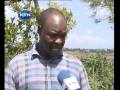 wakimbizi 7pm  231208