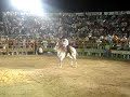 joan es su caballo